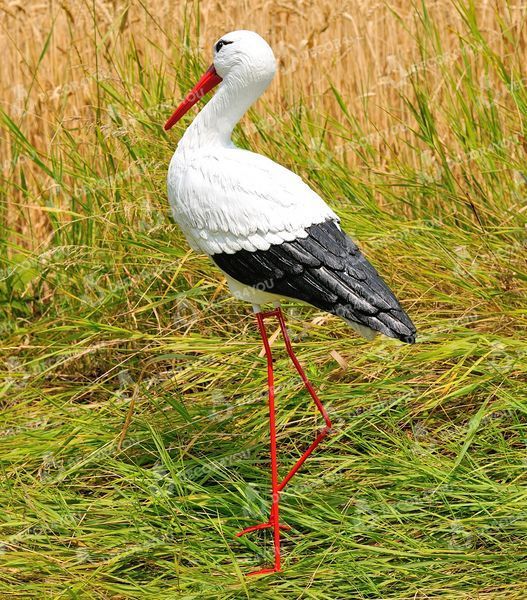 kaufen Gartenfigur Gro&szlig;er Storch #4 auf Metalltatzen 4