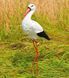 kaufen Gartenfigur Gro&szlig;er Storch #4 auf Metalltatzen 3