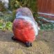 buy Snowbird garden figure 6