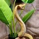 kaufen Gartenfigur Schlange, Kobra, Beige 7