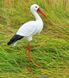 buy Garden figure Medium Stork #1 on metal legs 1
