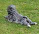 kaufen Sharpie Hund Garten Figur 7