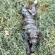 kaufen Sharpie Hund Garten Figur 2