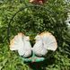 kaufen Gartenfigur Tauben in einem Ring 10