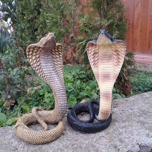kaufen Gartenfigur Schlangen Set, Kobra Geschlossener Mund, Gelb und Schwarz 1