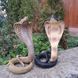 kaufen Gartenfigur Schlangen Set, Kobra Geschlossener Mund, Gelb und Schwarz 1